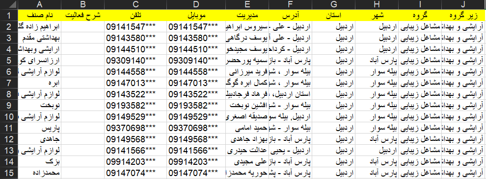نمونه اطلاعات آرایشی و بهداشتی کشوری